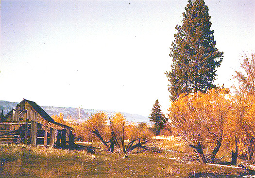 Old log barn.