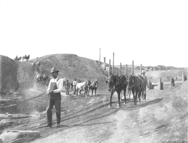 Fred driving Dolly and Guts