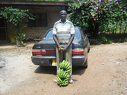 First bananas