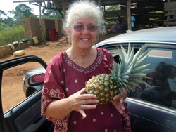 First pineapple